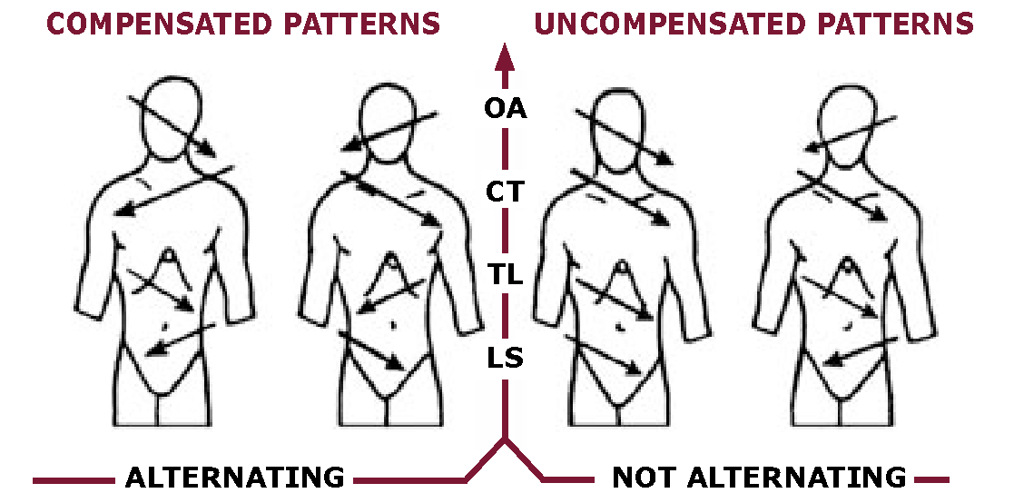 3-comp patterns